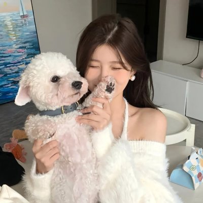 厨房的爱丽丝